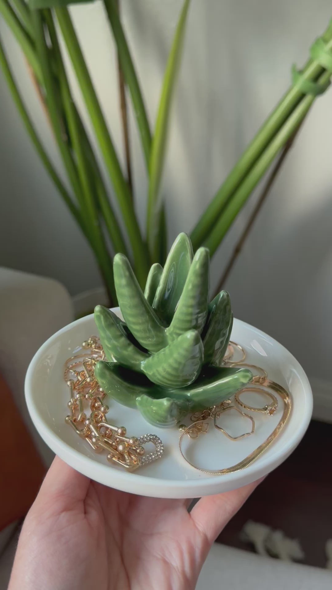 Aloe Vera Jewelry Dish – Bahandi