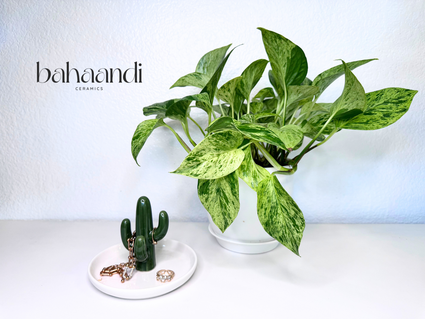 Cactus Ring Dish Holder