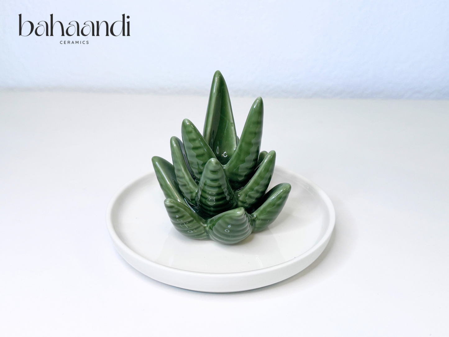 Aloe Vera Jewelry Dish