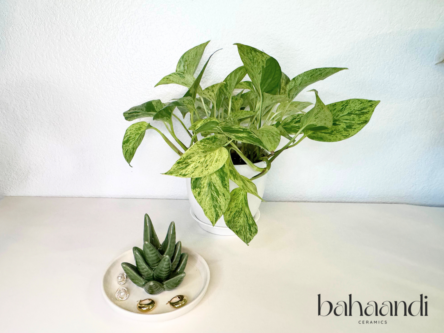 Aloe Vera Jewelry Dish