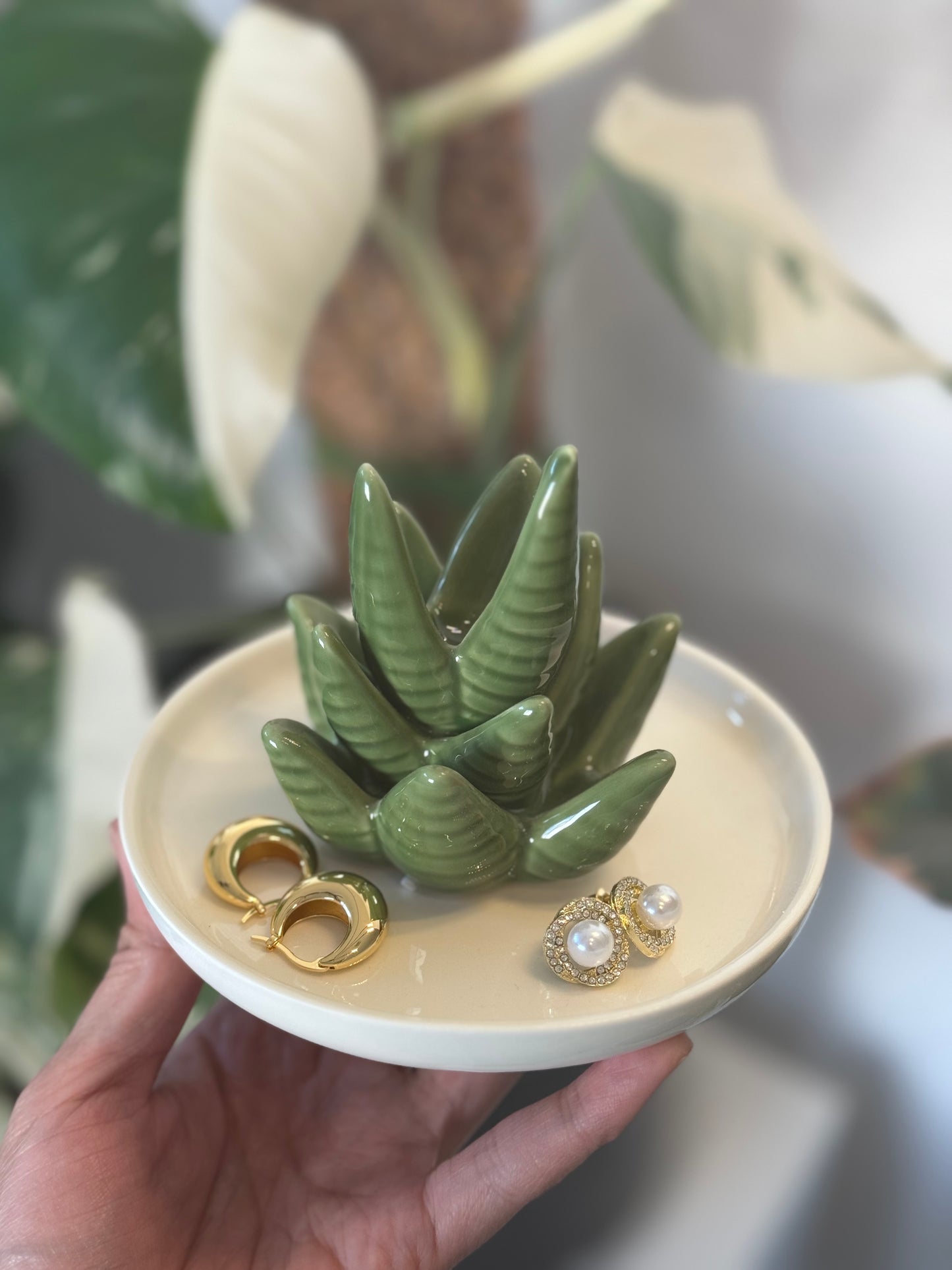 Aloe Vera Jewelry Dish