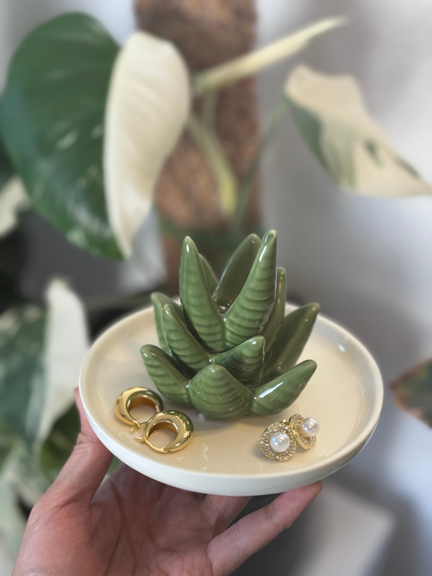 Aloe Vera Jewelry Dish