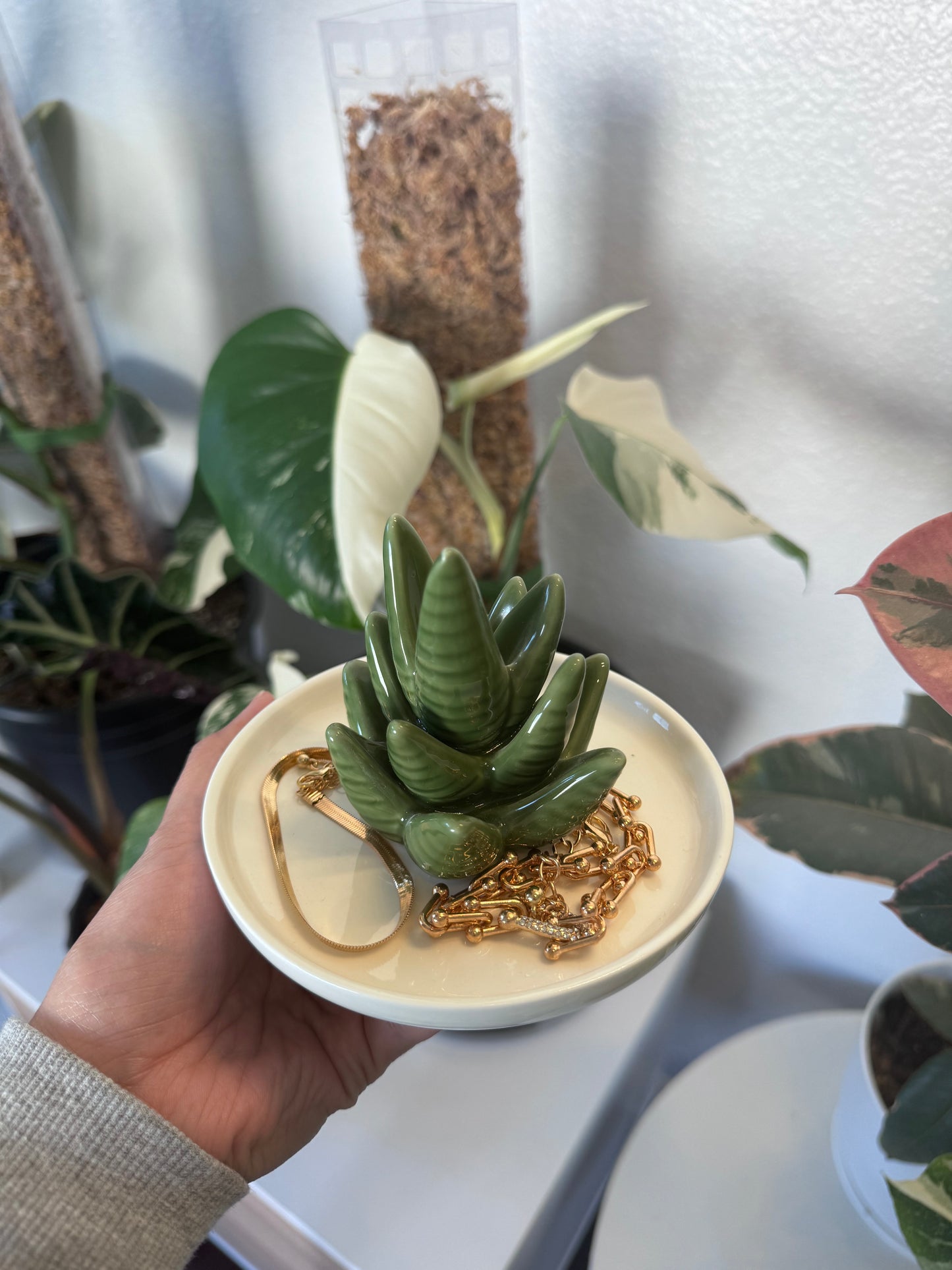 Aloe Vera Jewelry Dish
