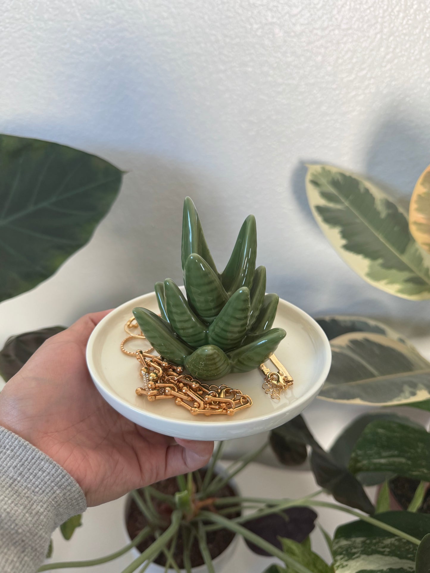 Aloe Vera Jewelry Dish
