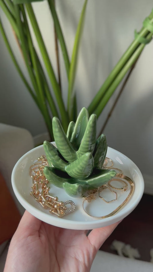 Aloe Vera Jewelry Dish